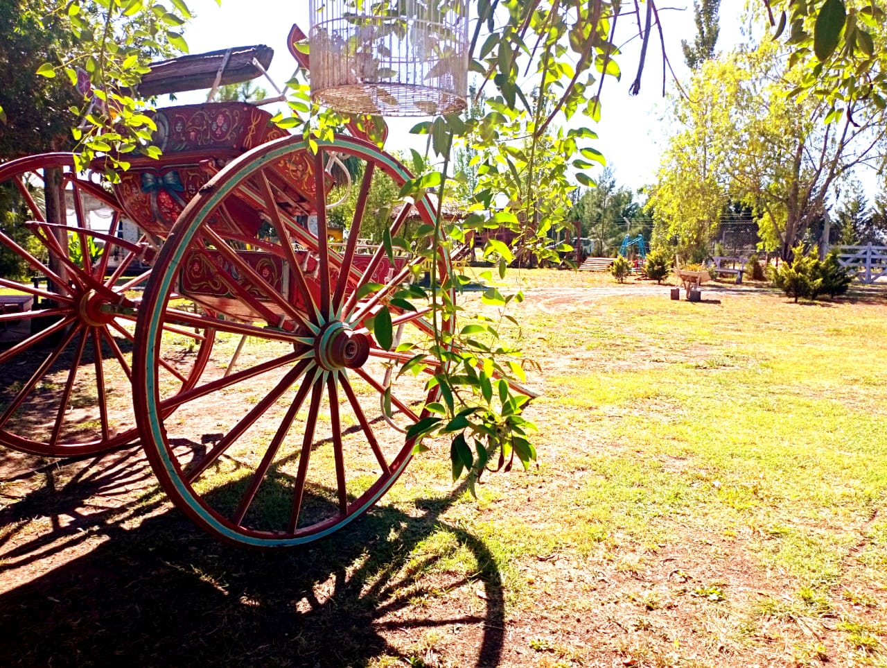 Área de jardín rústico